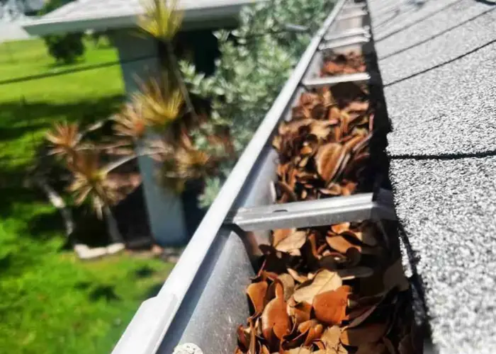 Vestal gutter cleaning home page
